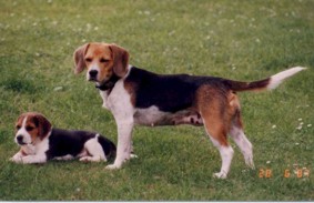 Kr�mel und klein Anton