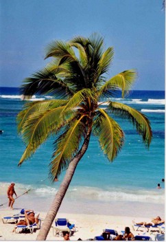 Punta Cana